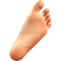 Feets logo