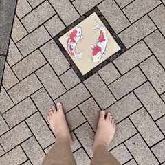A picture of a koi-themed manhole cover with two white koi circling each other as though trapped in the pavement. The tops of my bare feet are visible in the shot as I took the photo pointing directly down.