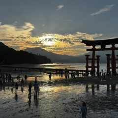 The sunken torii gate cast in silhouette against the setting sun. The tide has gone out, revealing wet sand. People are gathered on the sand to walk under and around the gate.