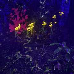Glowing light installations that resemble plants.