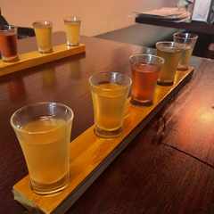 A selection of five umeshu in shot classes.
