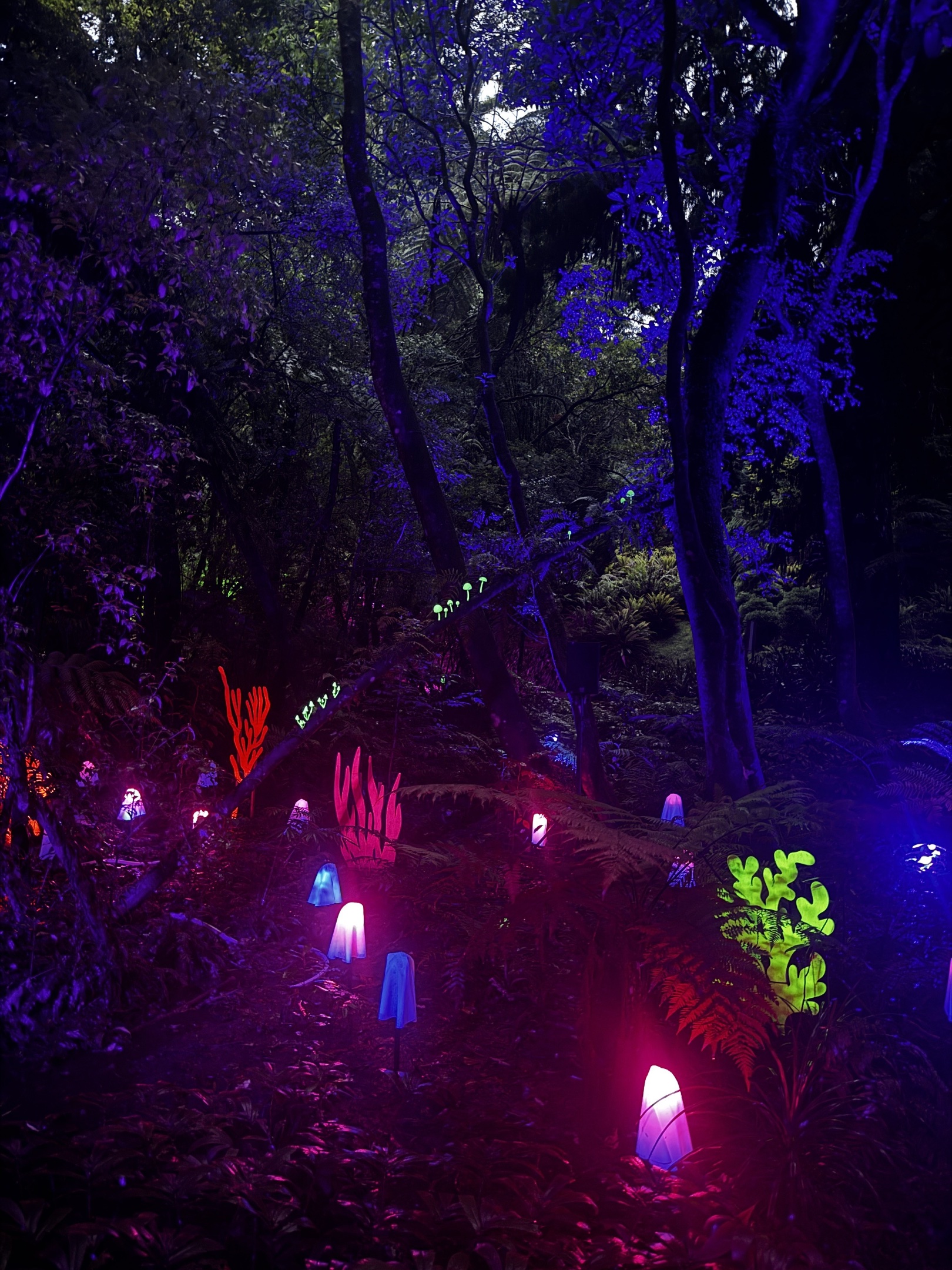 Glowing light installations that resemble mushrooms.