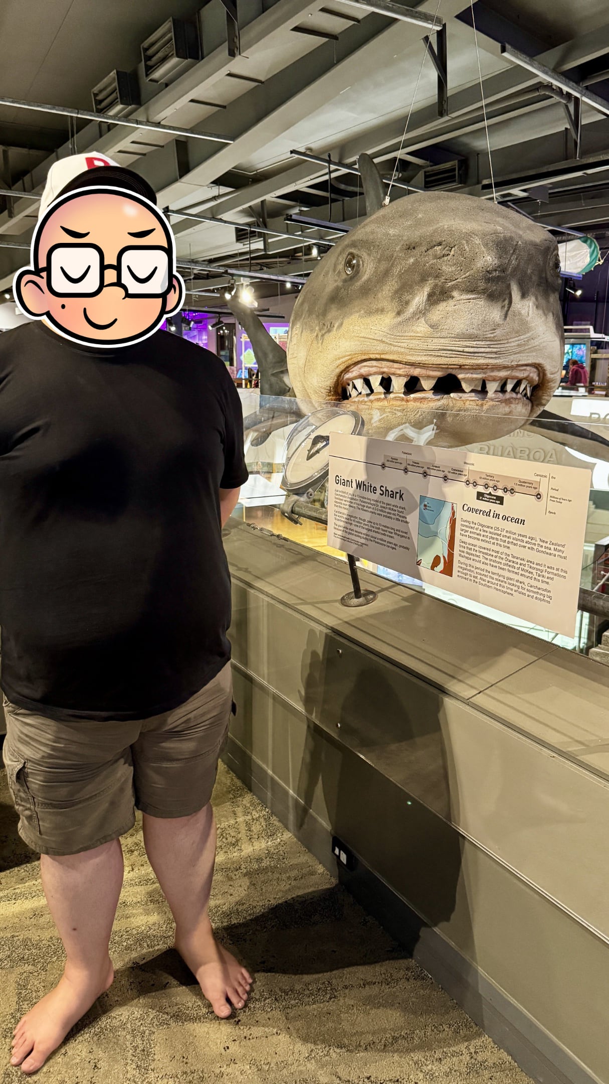 Feets standing in front of a shark model, suspended from the ceiling of the museum.
